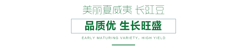 1557990325812873.jpg 詳情頁(yè).jpg