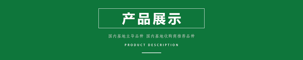 1557990333687041.jpg 00新產(chǎn)品.jpg