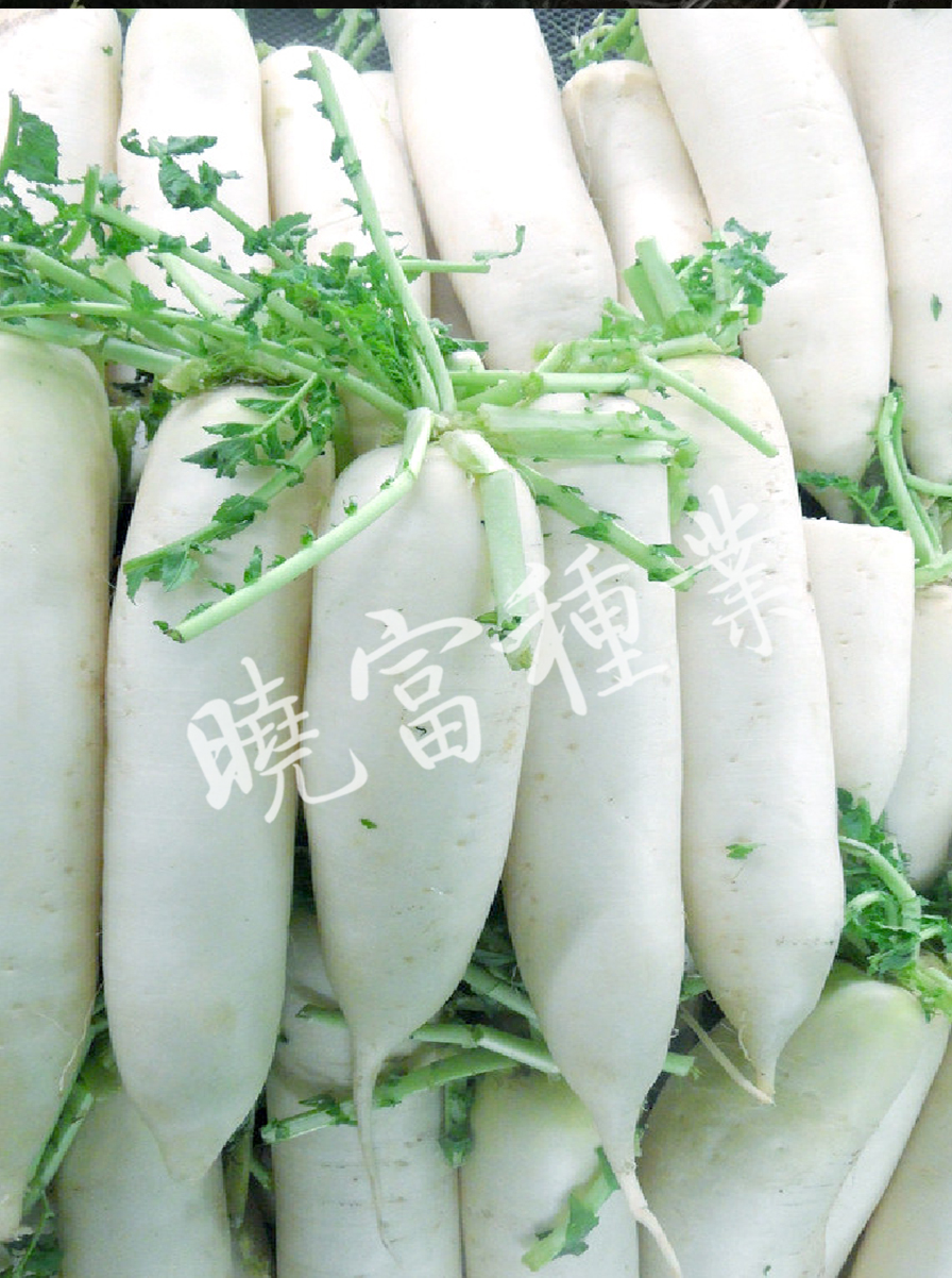 1585790186375906.jpg 06.jpg