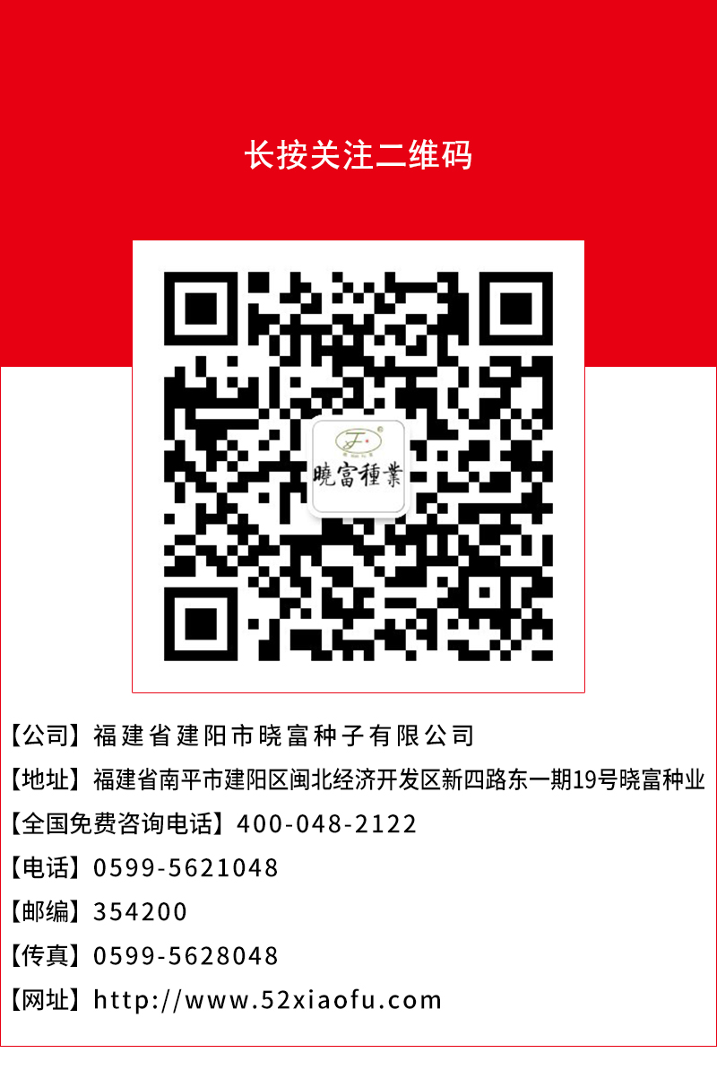 1600500005282250.jpg 頁(yè)底.jpg